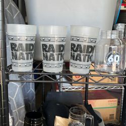 Raider Plastic Cups