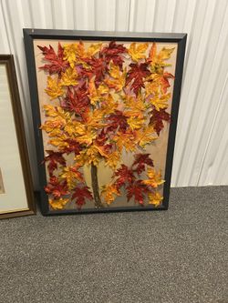 Framed Art