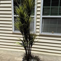 New, AnTing Tall Artificial Dracaena Silk Tree 8.2FT - Large Indoor Plant for Home Decor in Project 62 Basket