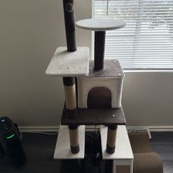 Cat Stuff