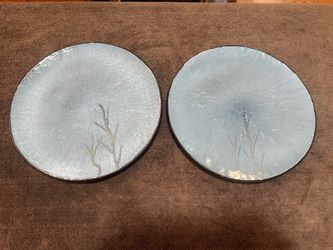 Set of 2 “Blue Grass” Dinner Plates, 9.75” Diameter