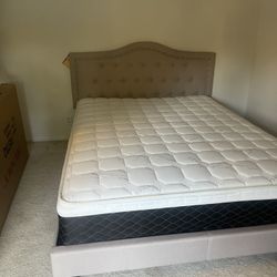 Queen Bed And Mattress