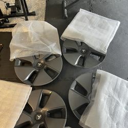Tesla Model 3 Wheel Covers