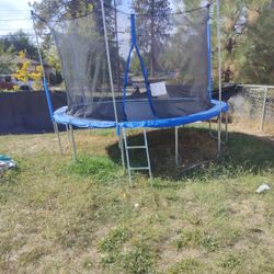 Trampoline