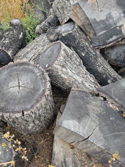 Beacon Woods