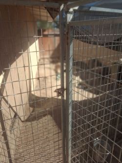 Dog kennels