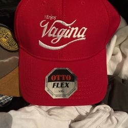 Fitted Hat  L/XL 