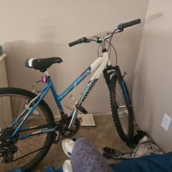 Schwinn Womens Bike