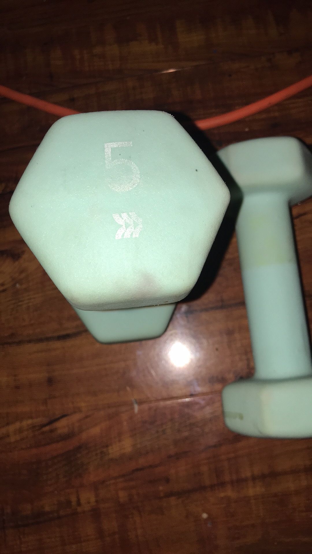 5lb weights