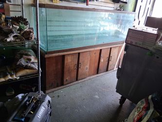 Fish aquarium