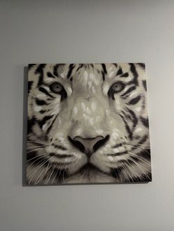 Tiger canvas