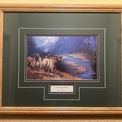 Beautiful Vintage “Flying High” by Carol Kalhagen.  Double Matted & Framed