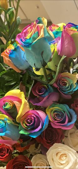 On sale! Rainbow roses, rosas de color