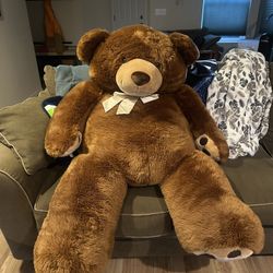 Large Teddy Bear