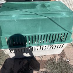 Dog House