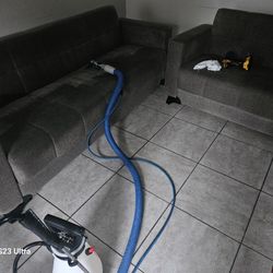 STEAM CARPET CLEANING 