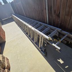 Ladder 