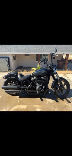 2024 Harley street bob
