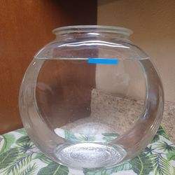2 Gallon Glass Fishbowl