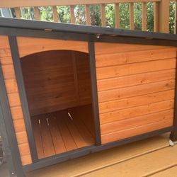 Dog House