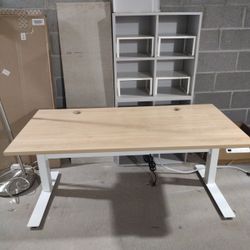 electric sitting/standing desk