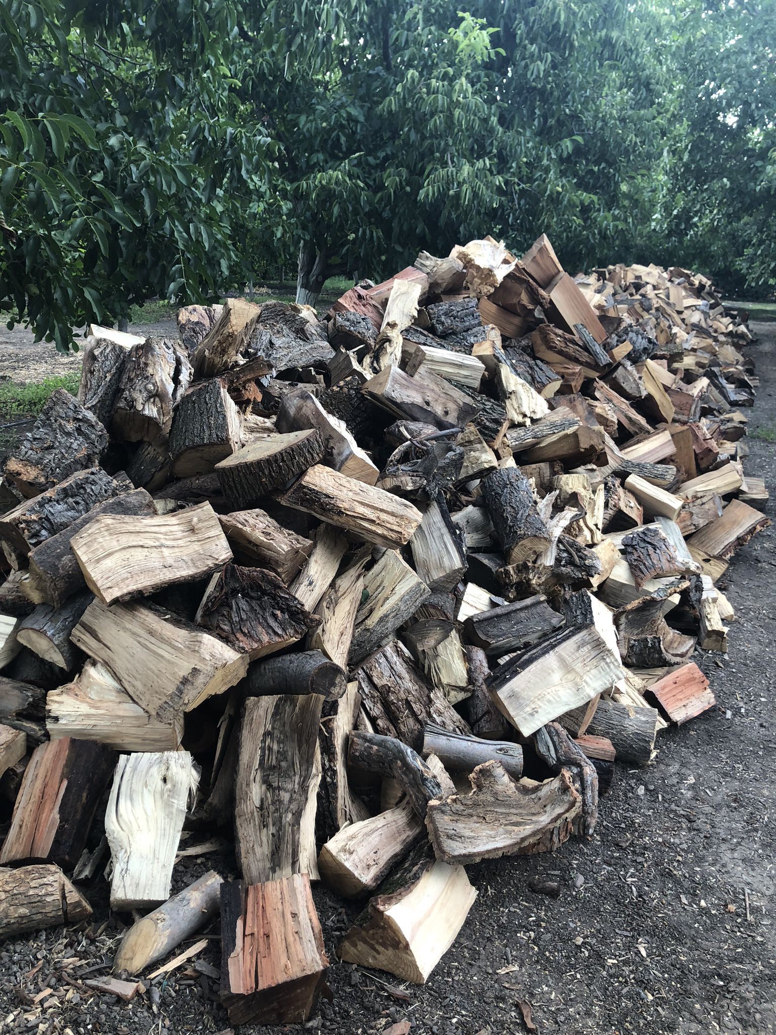 Quality Split Seasoned Firewood 🪵 🔥