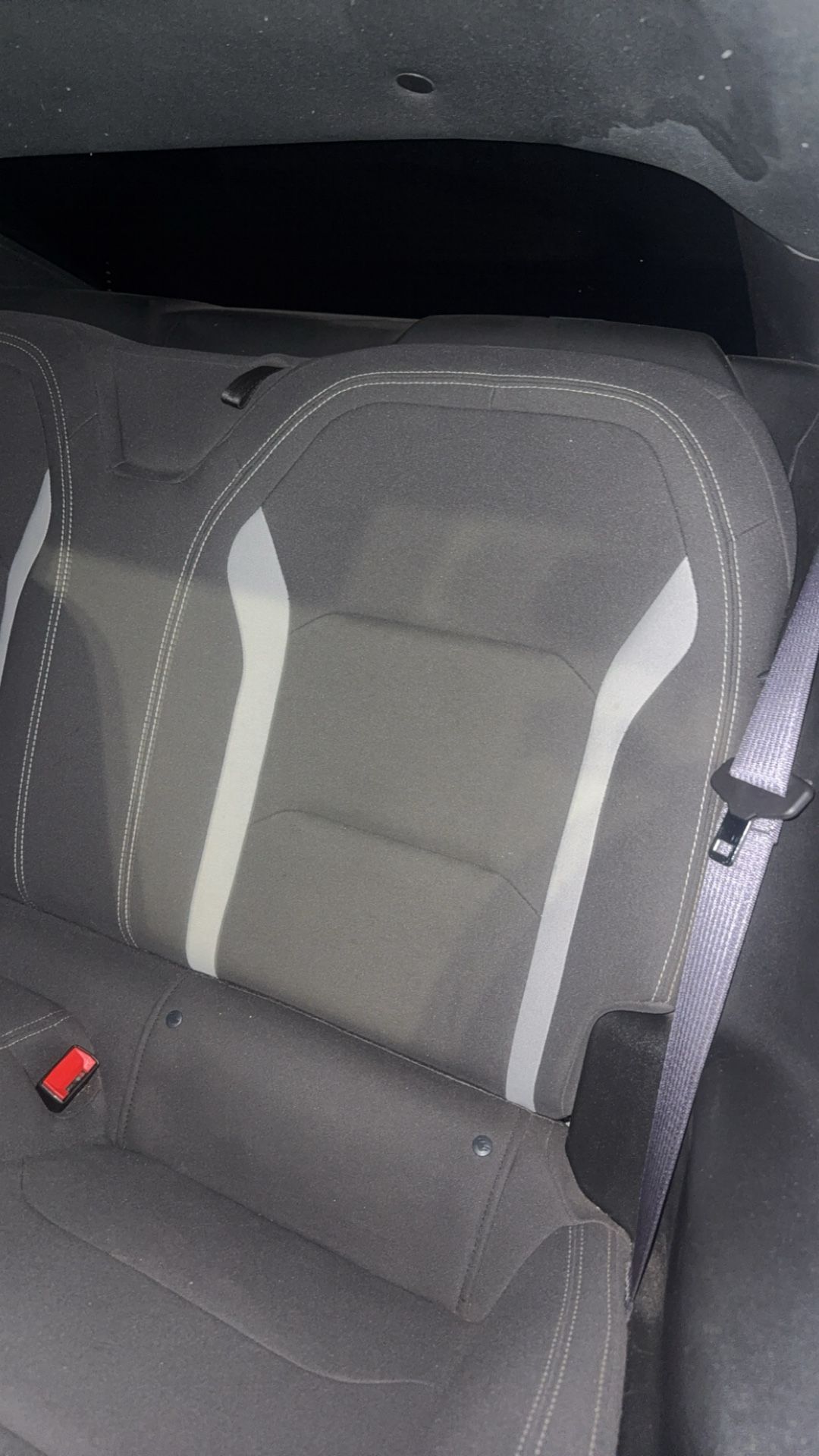 Camaro Backseats