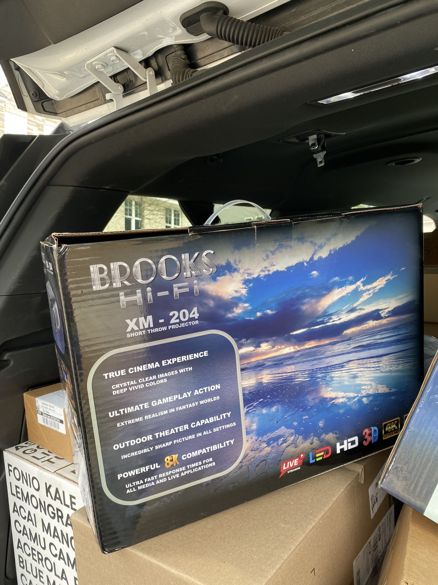 Brooks Hi Fi Projector and Surround Sound