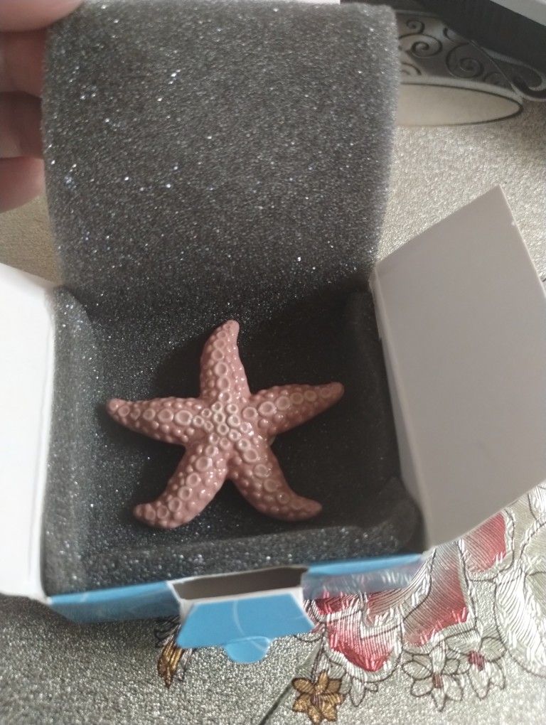 LladrĂ³ Little Red Starfish
