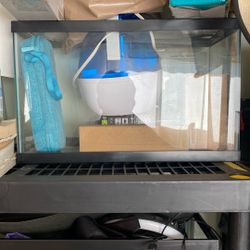 10 gallon fish tank