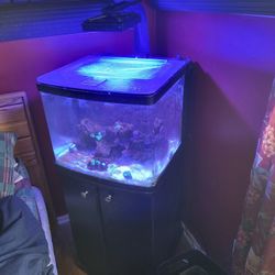 Biocube 32 Full System