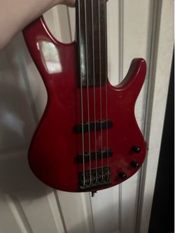 Ibanez 5 String Fretless Bass.