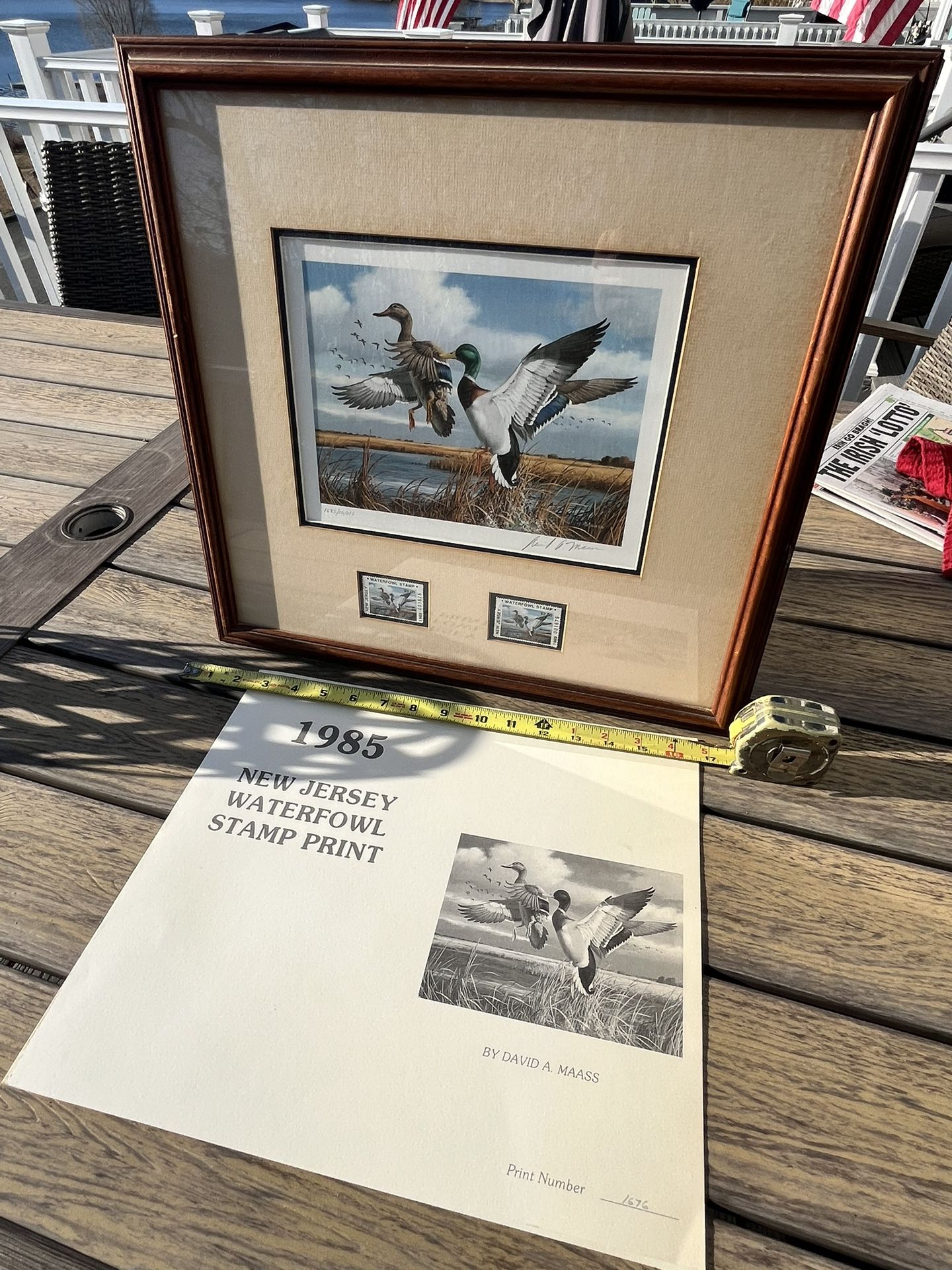 Limited Edition State Stamp Duck Prints.