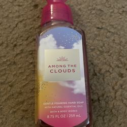 Bath And Body Works Hand Soap