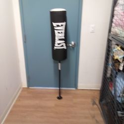 Everlast Punching And Kicking Bag
