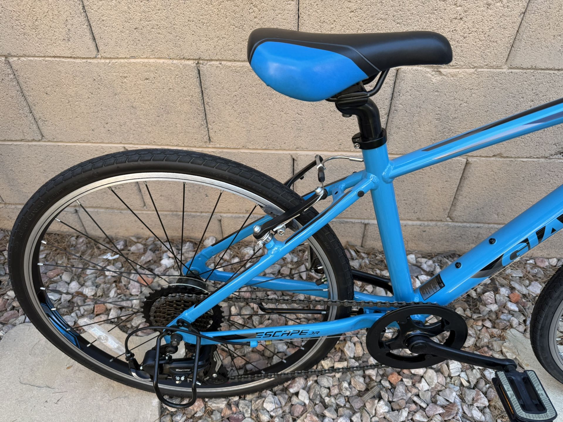 Like New Giant Escape Jr 24 Inch Bike Bicycle. for Sale in Mesa 