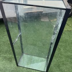 Fish Tank 