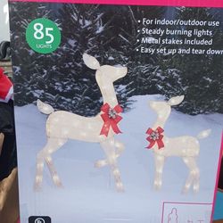 Doe and Fawn
