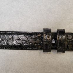 New American Alligator Belt