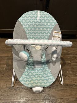 Baby Bouncer