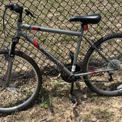 Road master Mountain Bike