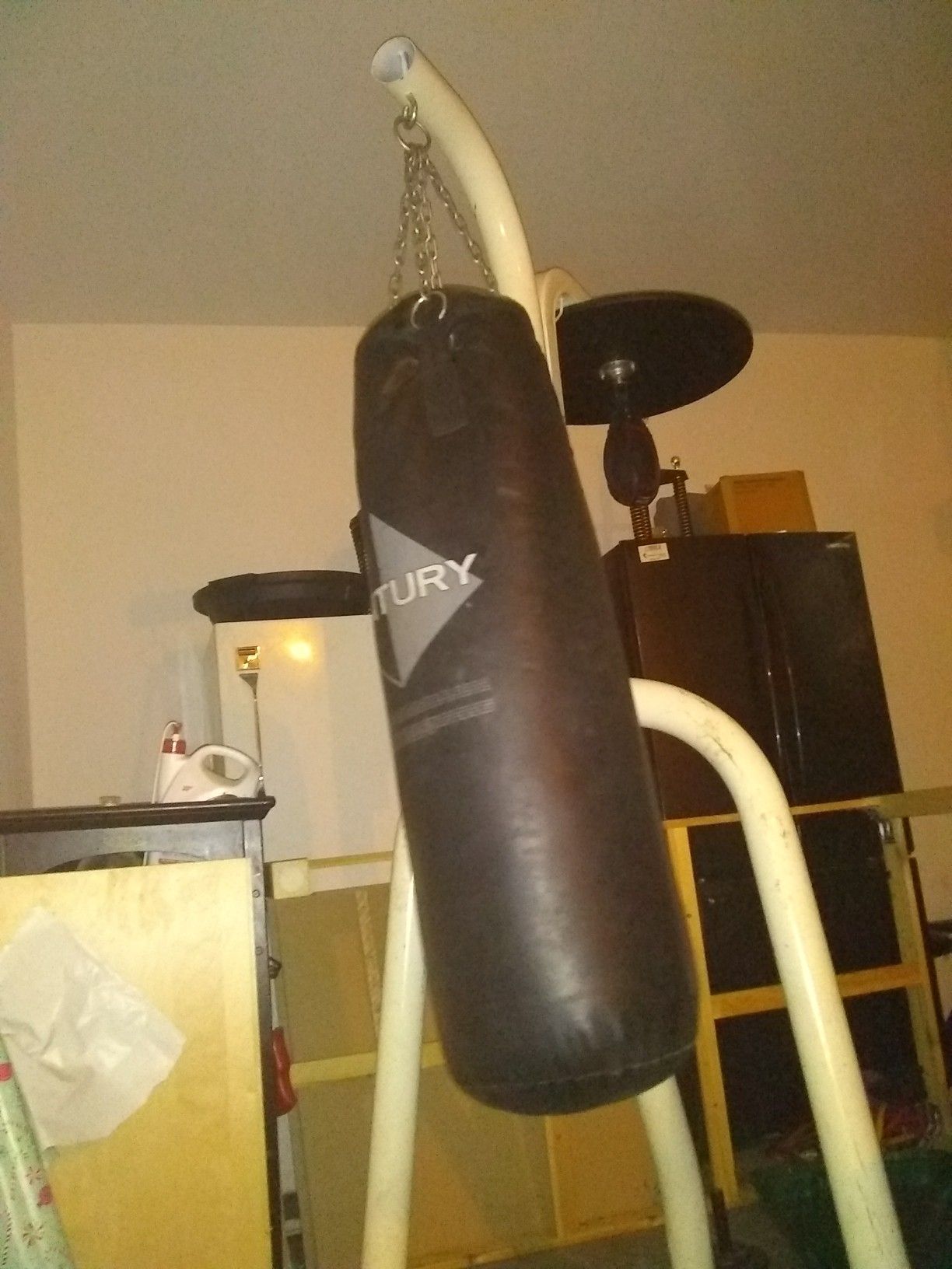 Century punching bag and speed bag