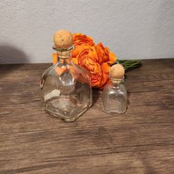 2 Corked  Glass Bottles 