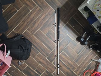Berkeley big game spinning rod