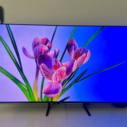 Samsung Oled S90C 55