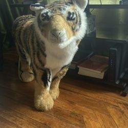 Tiger For Sale Only $20