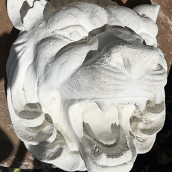 Tigers head cast stone 12”