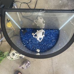 20 gallon fish tank 