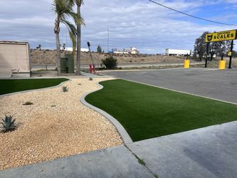 Grass