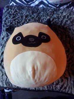 PUG Squishmallow LARGE/JUMBO!!!!